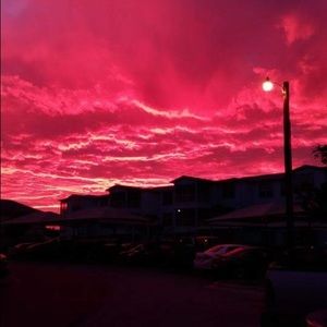 Meet your Posher, Ella